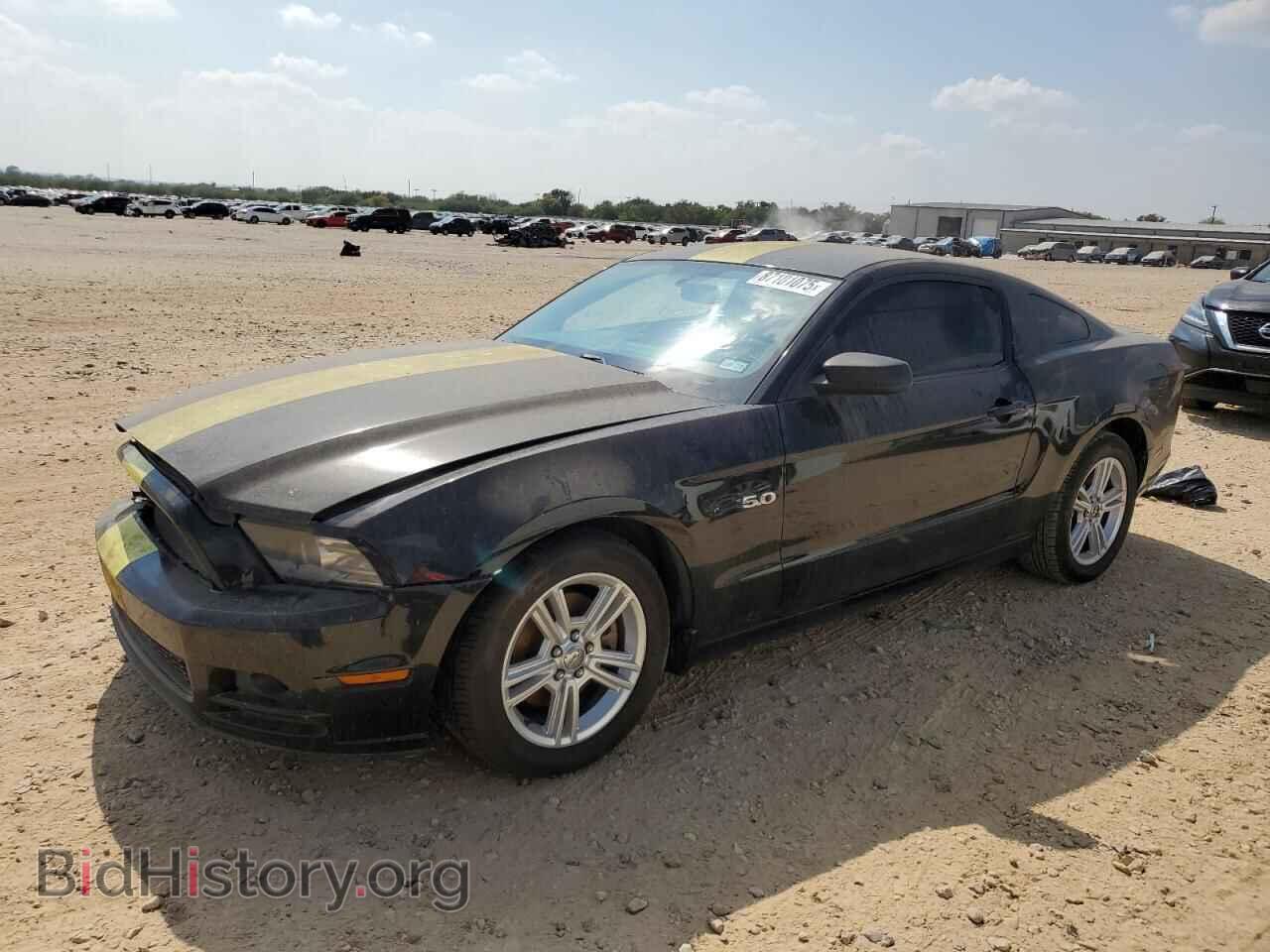 Photo 1ZVBP8AM2D5206298 - FORD ALL Models 2013