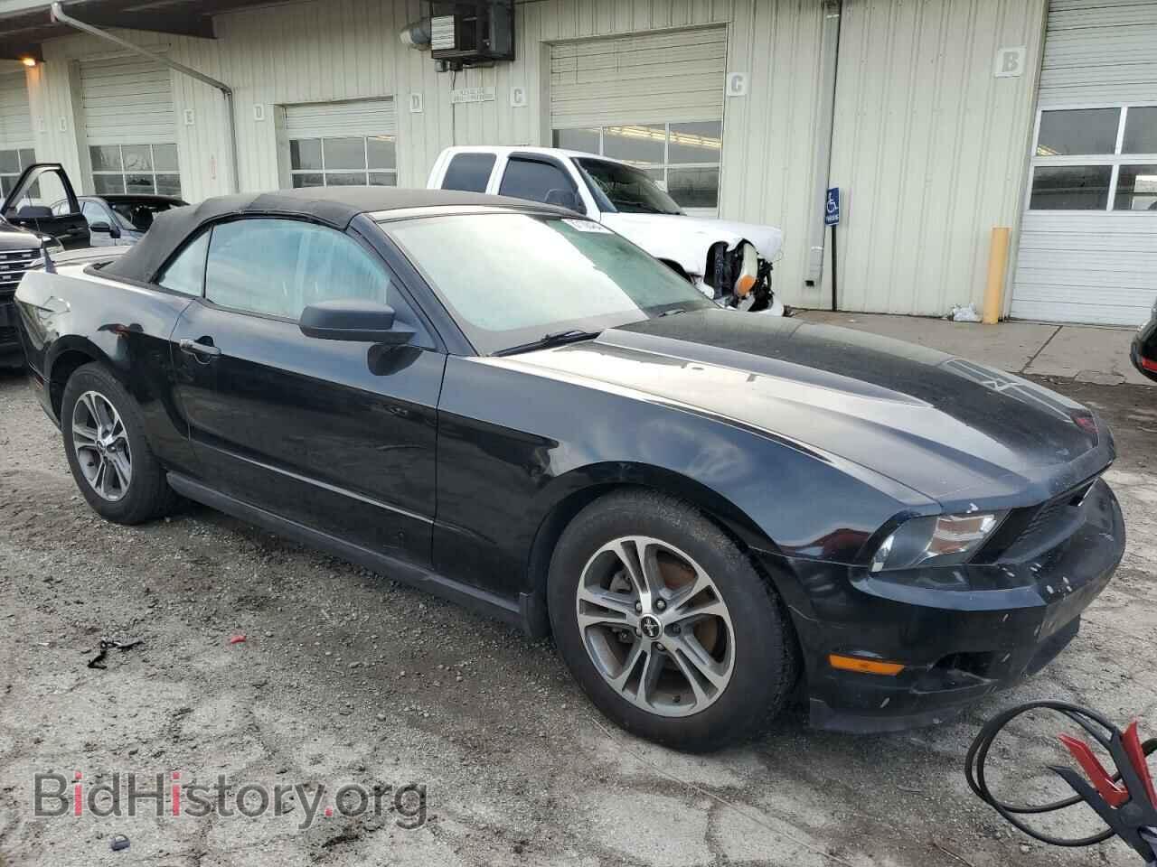 2010 FORD ALL Models - VIN: 1ZVBP8EN6A5179072 - Фото 4