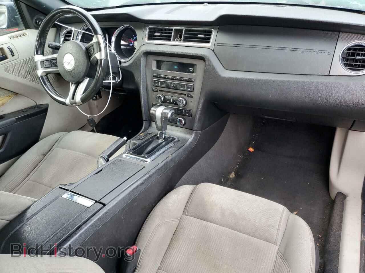 2010 FORD ALL Models - VIN: 1ZVBP8EN6A5179072 - Фото 8
