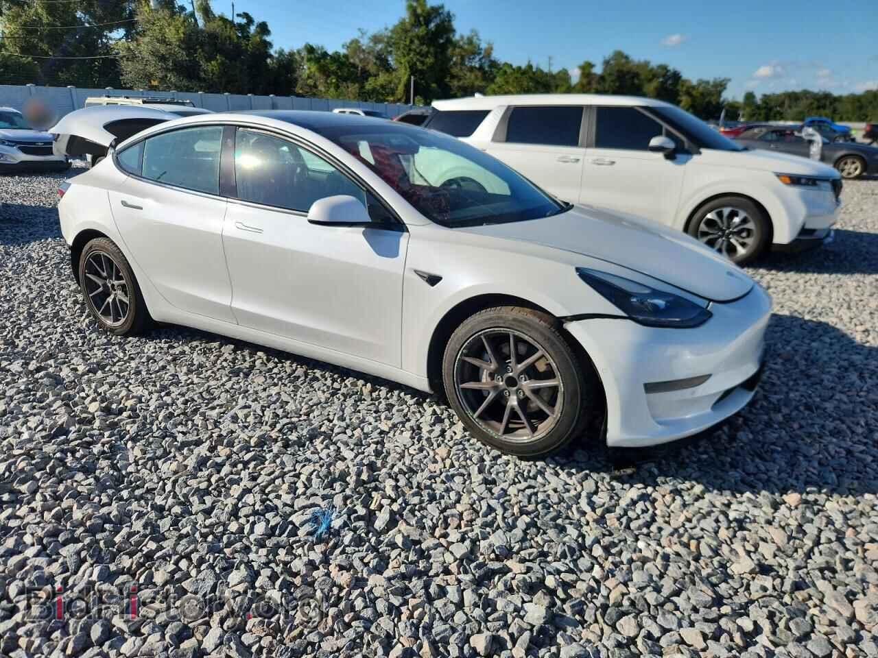 2021 TESLA MODEL 3 - VIN: 5YJ3E1EA5MF047103 - Фото 4