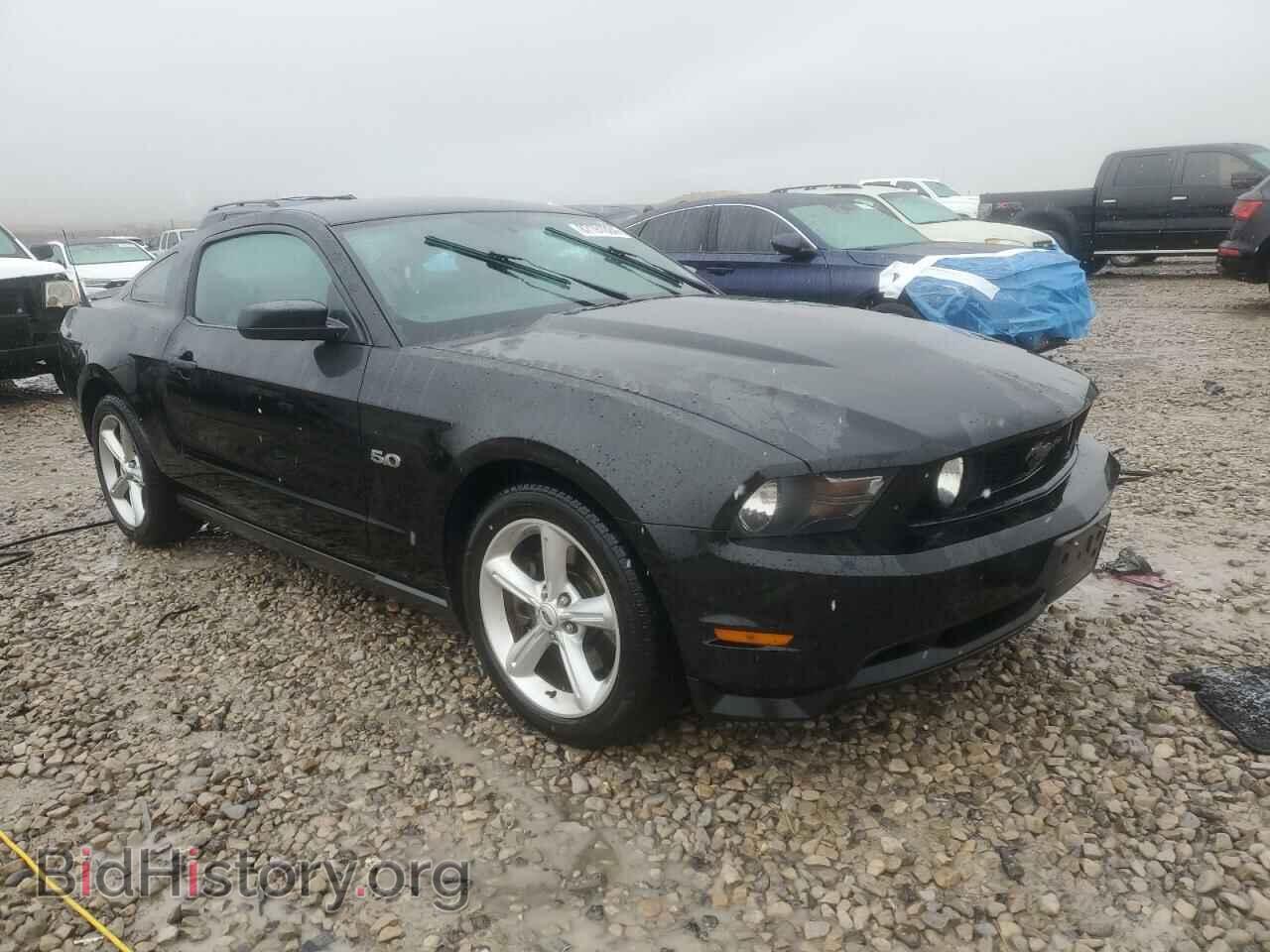 2012 FORD MUSTANG - VIN: 1ZVBP8CFXC5285765 - Фото 4