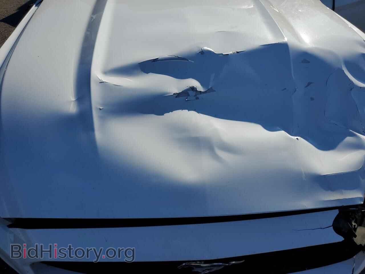 2017 FORD ALL Models - VIN: 1FA6P8THXH5295537 - Фото 11