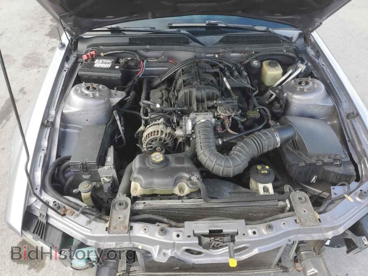 2006 FORD ALL Models - VIN: 1ZVFT80N065123740 - Photo 11
