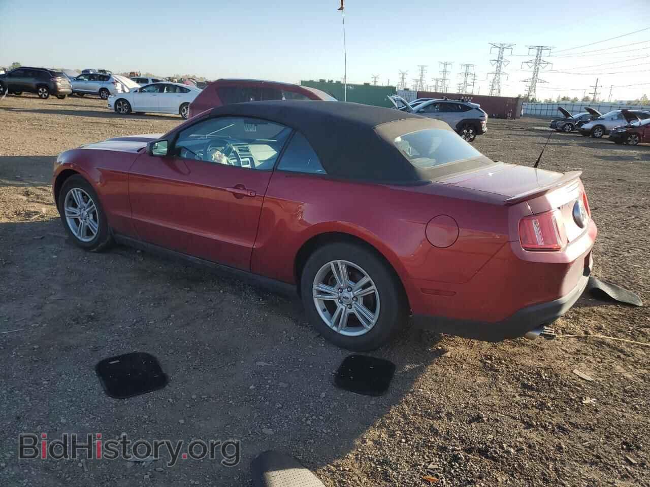 2011 FORD ALL Models - VIN: 1ZVBP8EM6B5161616 - Фото 2