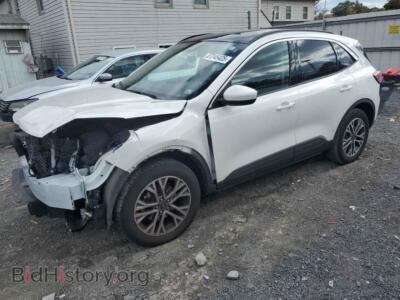 2020 Ford ESCAPE SEL, белый — VIN 1FMCU9H93LUA27520, Copart