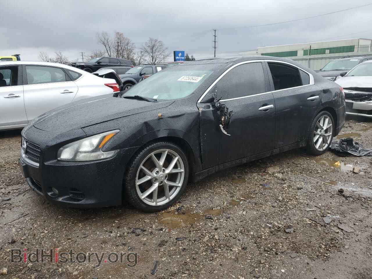 Photo 1N4AA5AP5BC837442 - NISSAN MAXIMA 2011