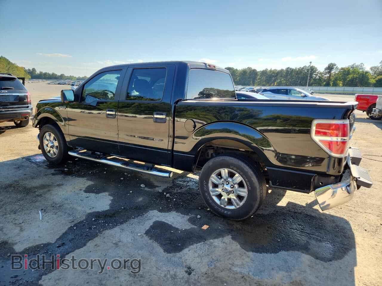 2010 FORD F-150 - VIN: 1FTEW1C84AFA96208 - Фото 2