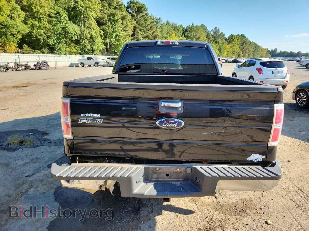 2010 FORD F-150 - VIN: 1FTEW1C84AFA96208 - Фото 6