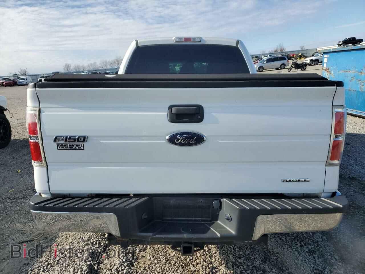 2014 FORD F-150 - VIN: 1FTFW1EF6EFC74254 - Фото 6
