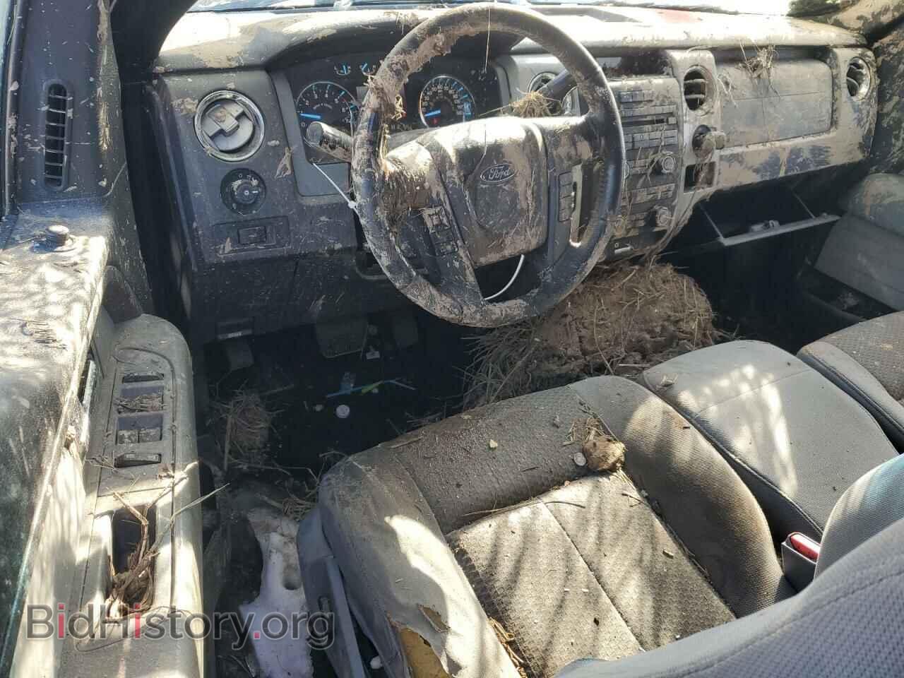 2011 FORD F-150 - VIN: 1FTFX1ET2BFD29572 - Фото 8