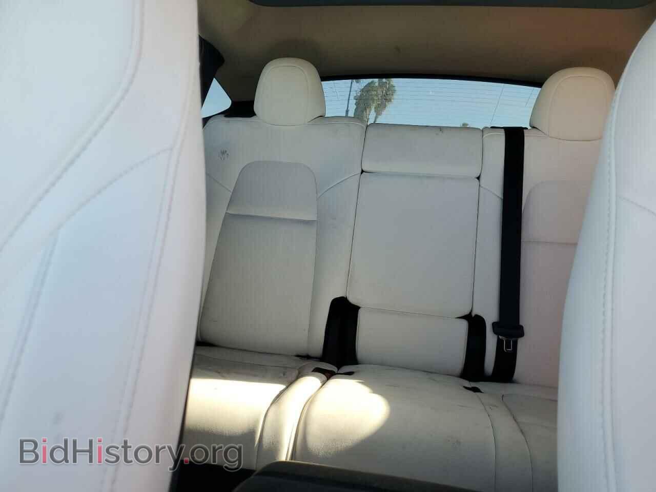 2024 TESLA MODEL Y - VIN: 7SAYGAEE2RF984326 - Photo 10