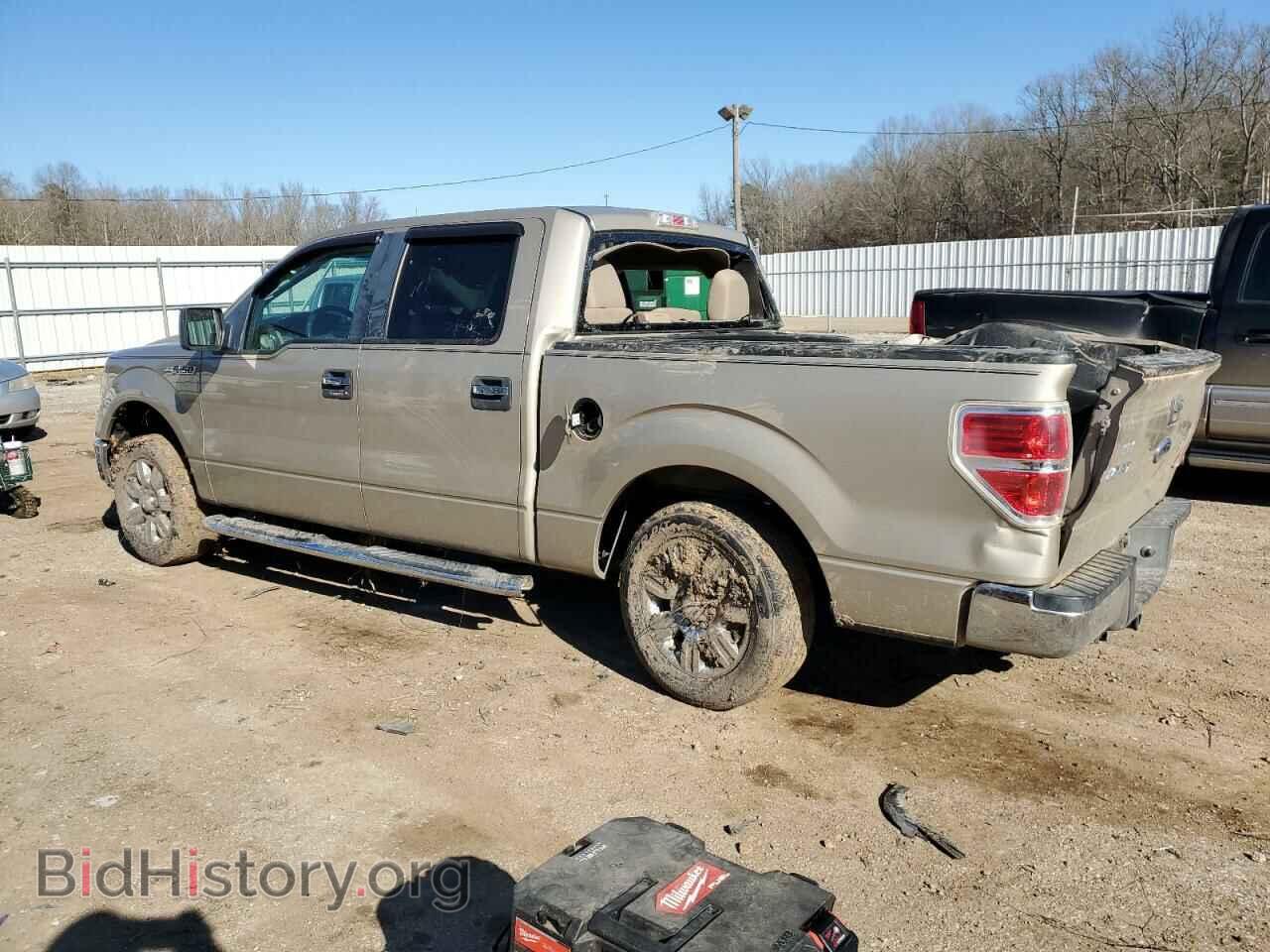 2010 FORD F-150 - VIN: 1FTEW1C81AFC07121 - Фото 2