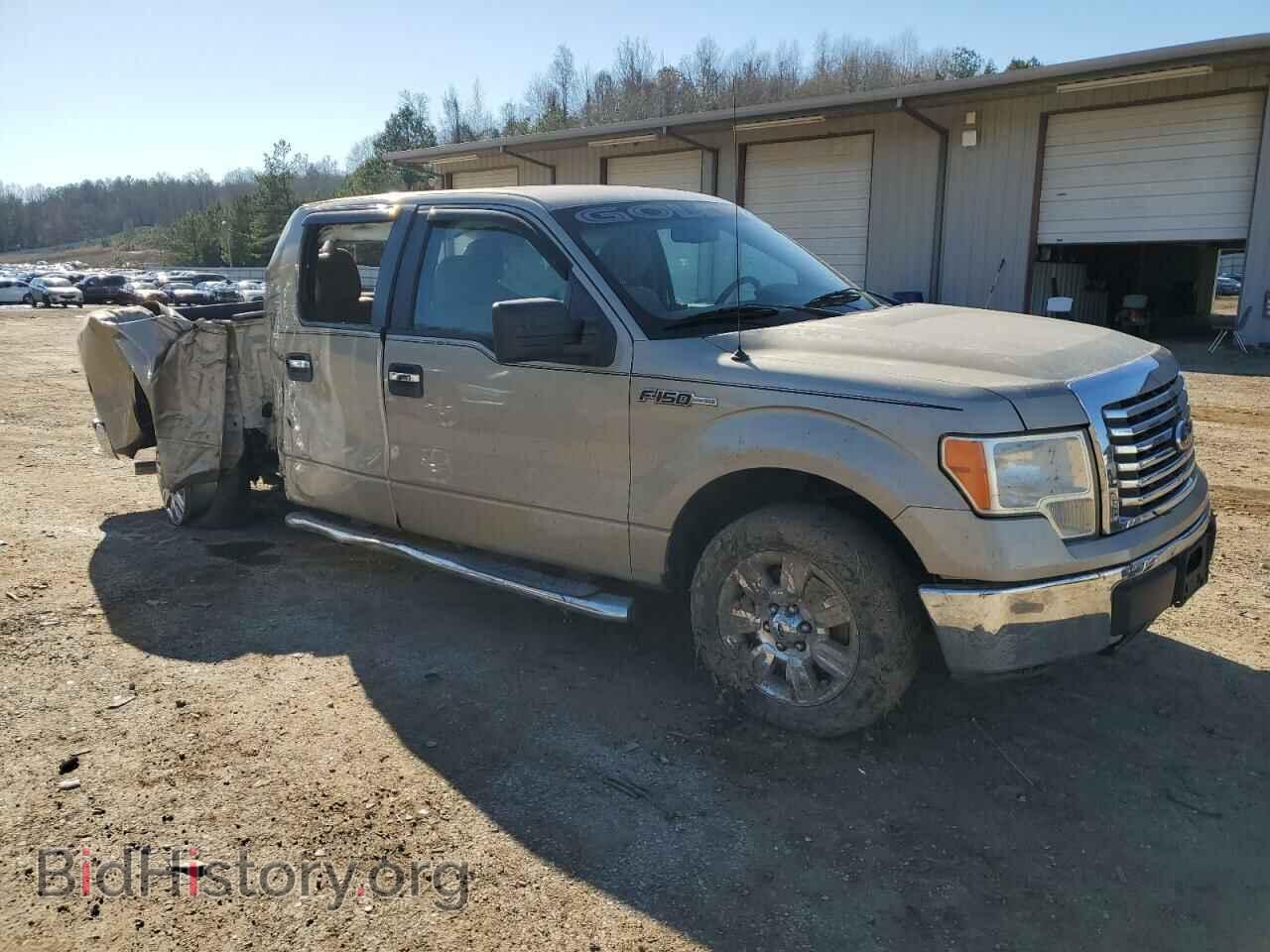 2010 FORD F-150 - VIN: 1FTEW1C81AFC07121 - Фото 4