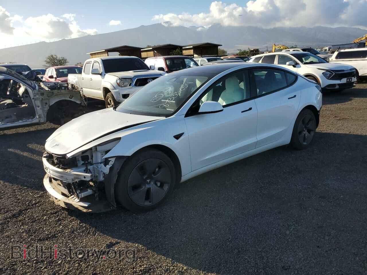 Photo 5YJ3E1EA4MF048663 - TESLA MODEL 3 2021