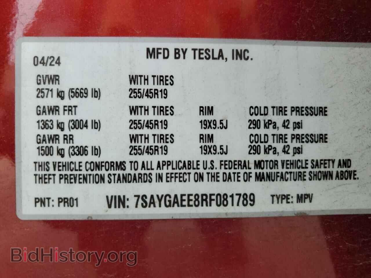 2024 TESLA MODEL Y - VIN: 7SAYGAEE8RF081789 - Photo 16