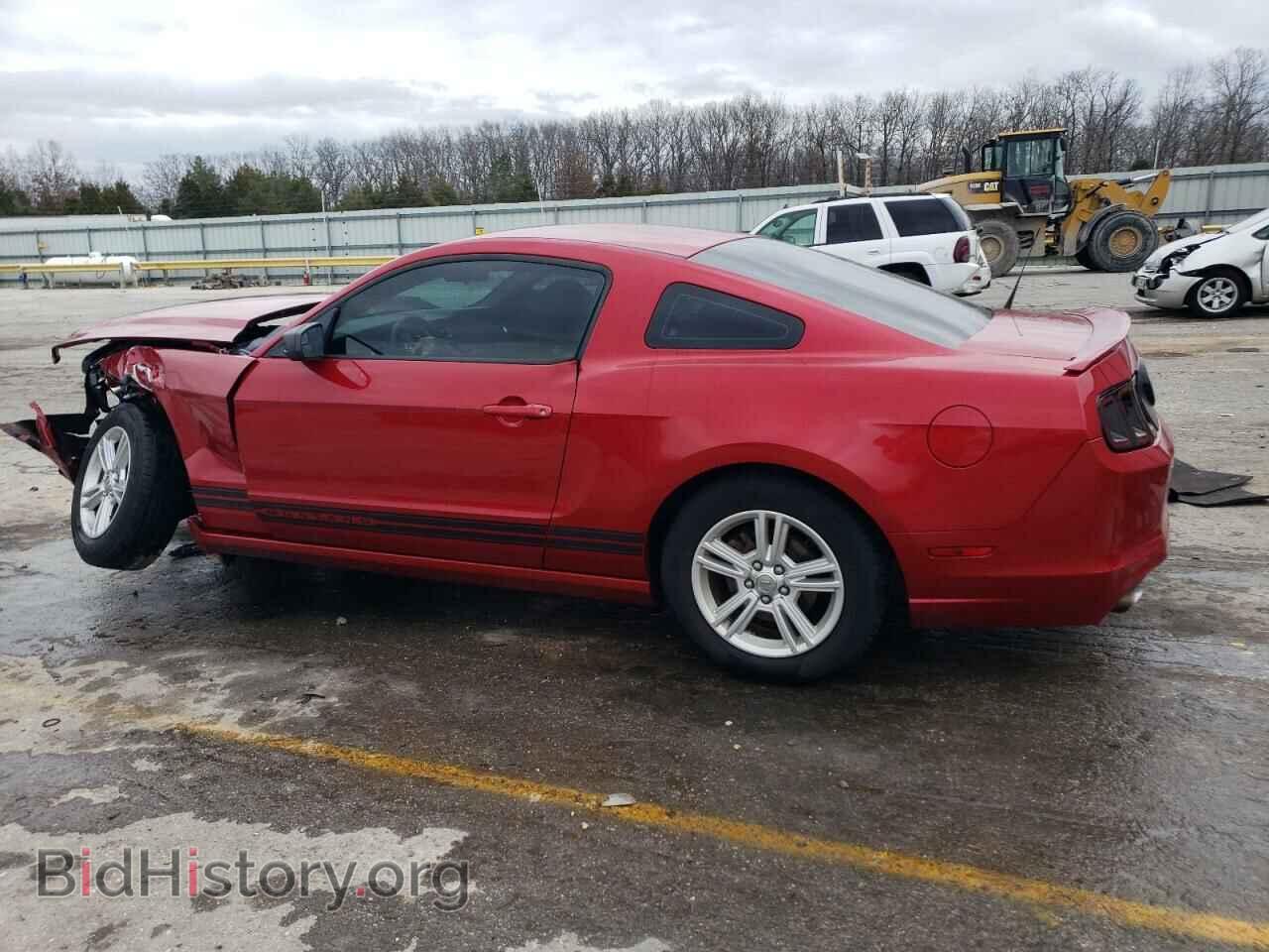 2013 FORD ALL Models - VIN: 1ZVBP8AM6D5271557 - Фото 2