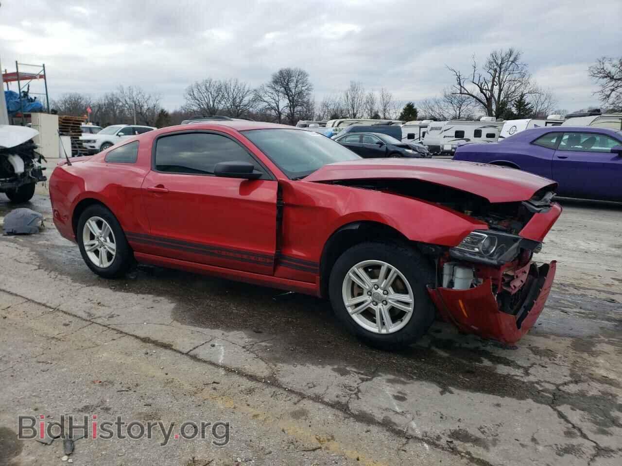 2013 FORD ALL Models - VIN: 1ZVBP8AM6D5271557 - Фото 4