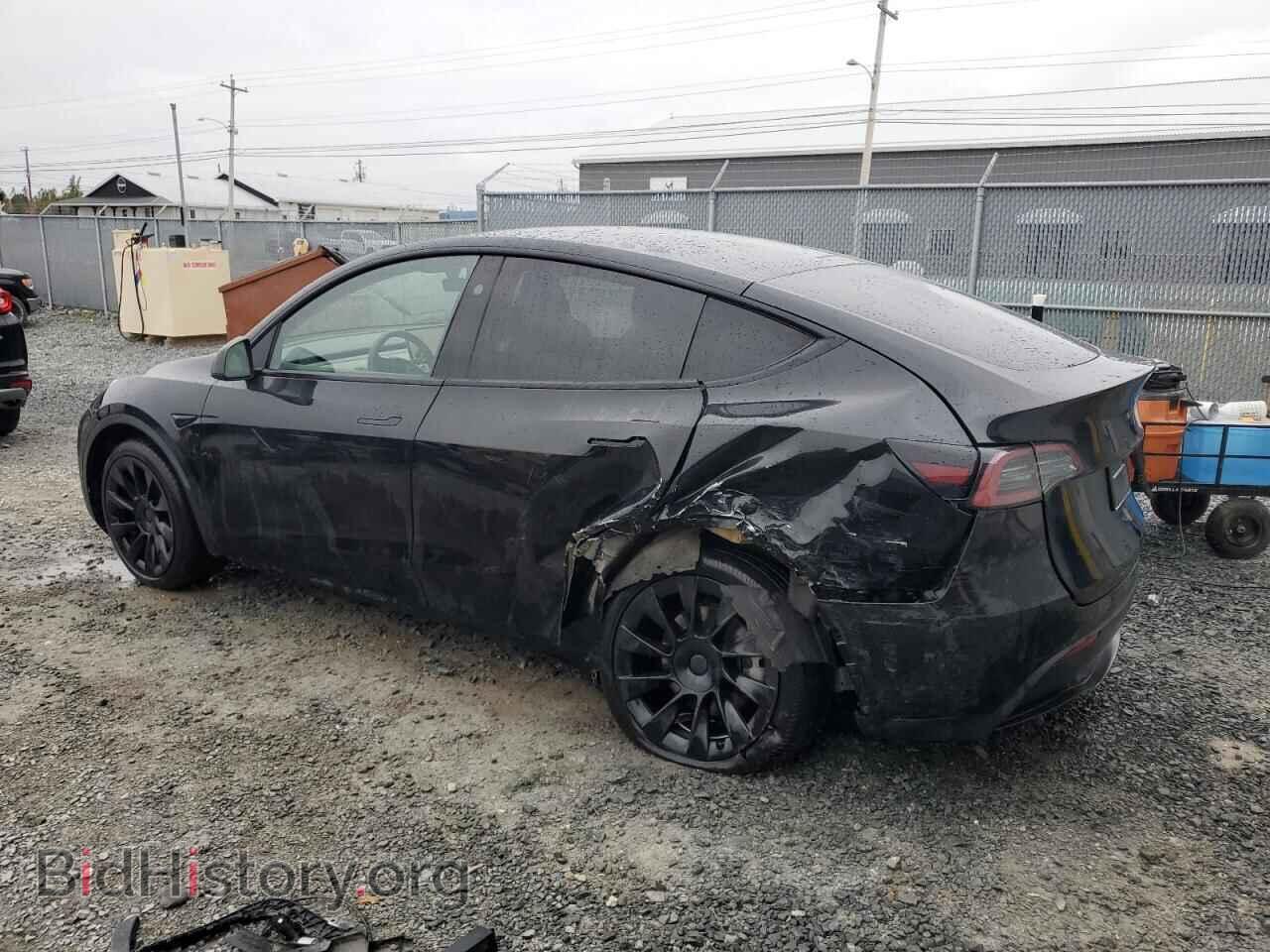 2024 TESLA MODEL Y - VIN: 7SAYGDEE6RF989661 - Фото 2