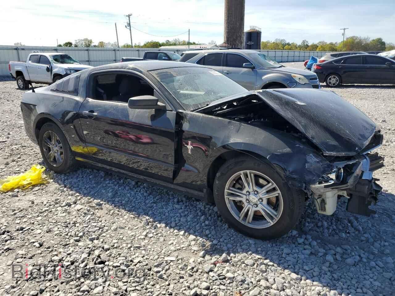 2013 FORD ALL Models - VIN: 1ZVBP8AM1D5273538 - Фото 4