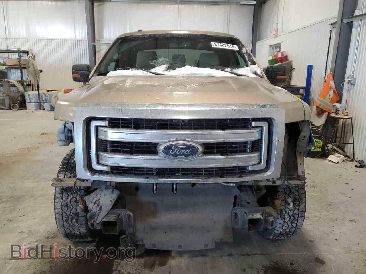 2013 FORD F-150 - VIN: 1FTFX1EF7DFA17860 - Фото 5