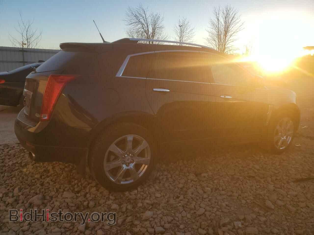 2010 CADILLAC SRX - VIN: 3GYFNFEY0AS540580 - Фото 3