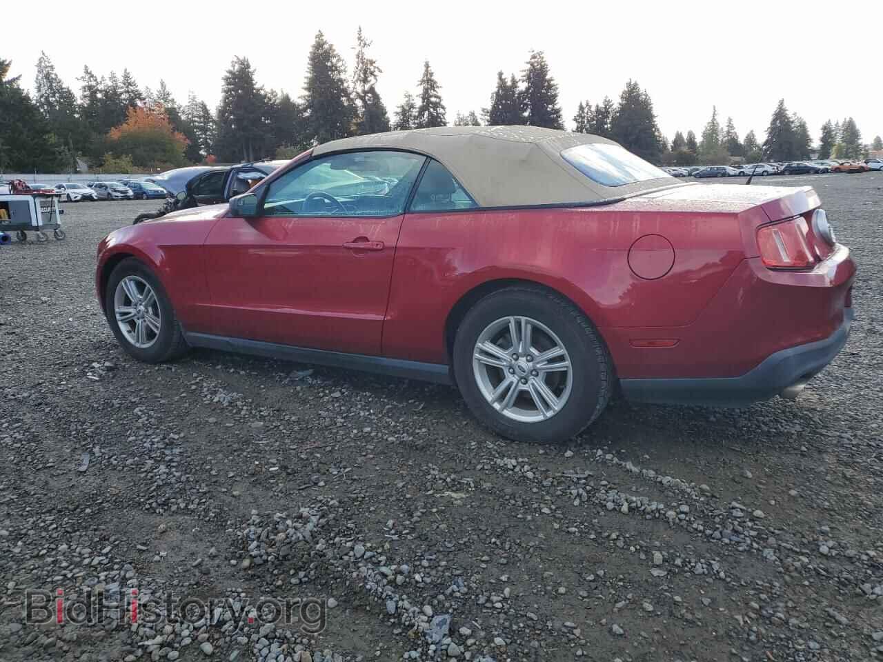 2012 FORD ALL Models - VIN: 1ZVBP8EM9C5216920 - Фото 2