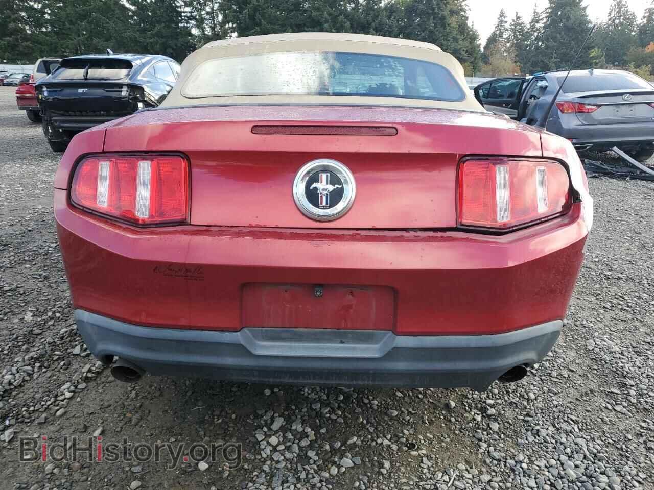 2012 FORD ALL Models - VIN: 1ZVBP8EM9C5216920 - Фото 6