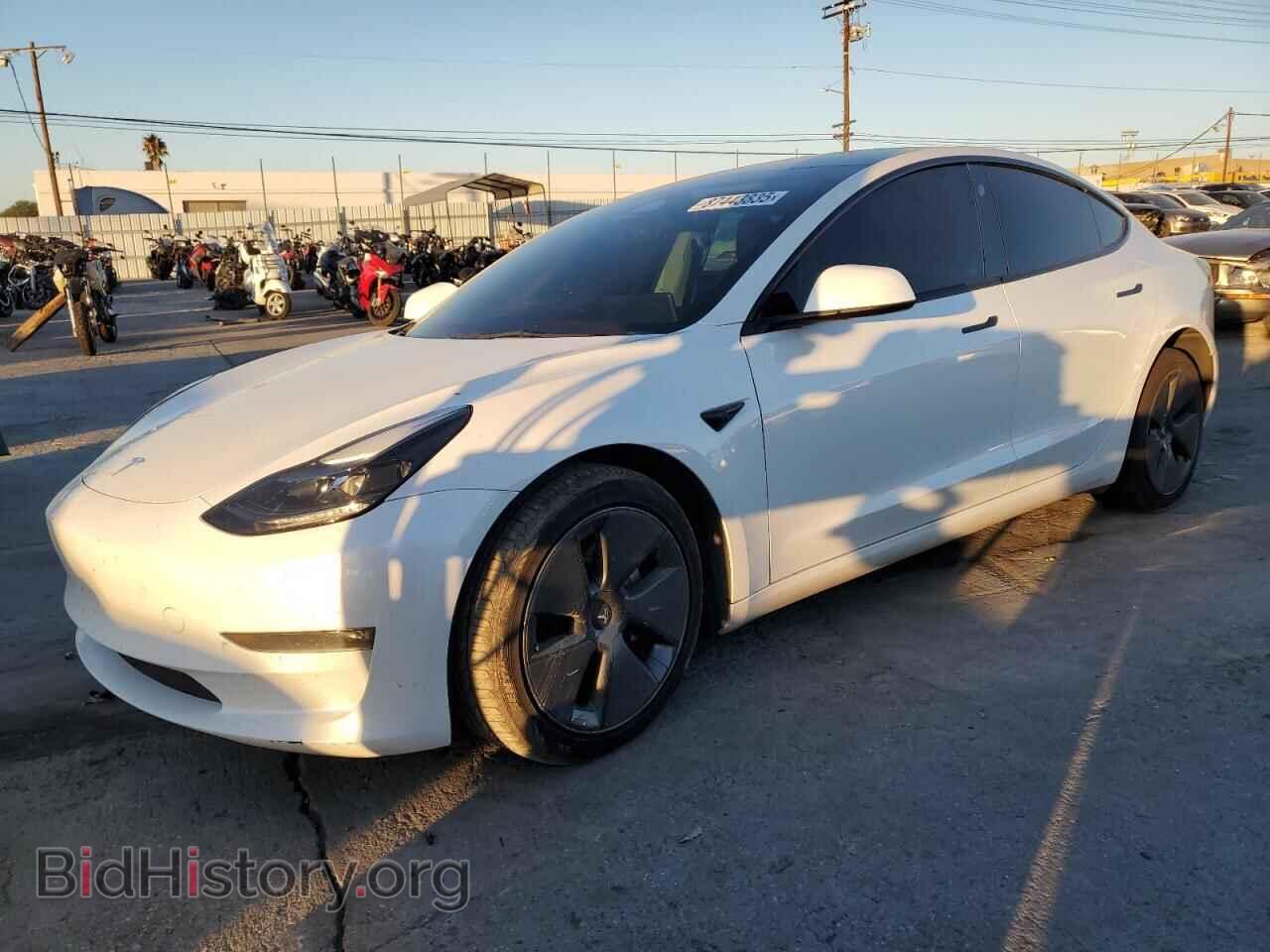 Photo 5YJ3E1EBXPF389742 - TESLA MODEL 3 2023