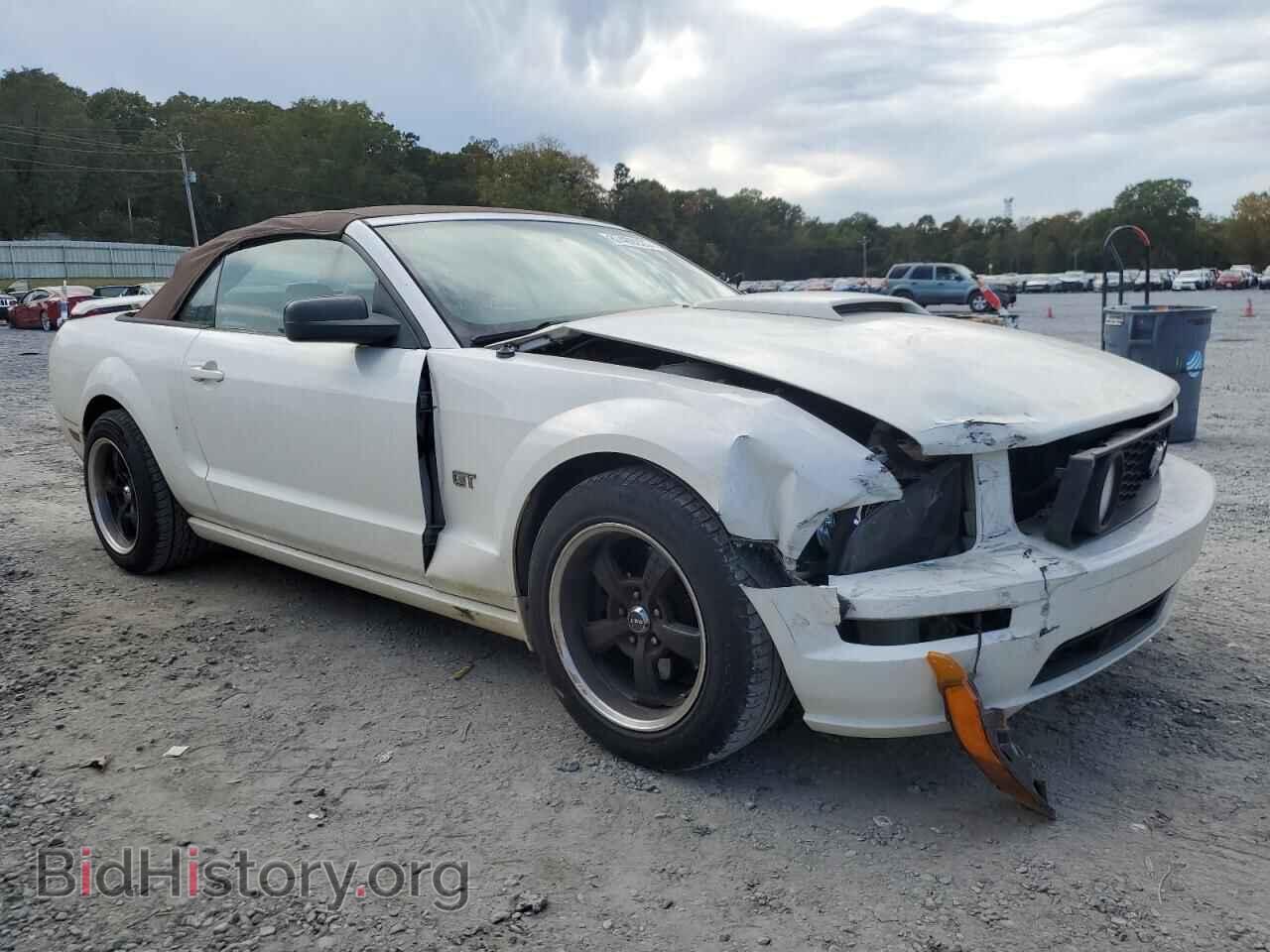 2005 FORD MUSTANG - VIN: 1ZVFT85H155194866 - Фото 4