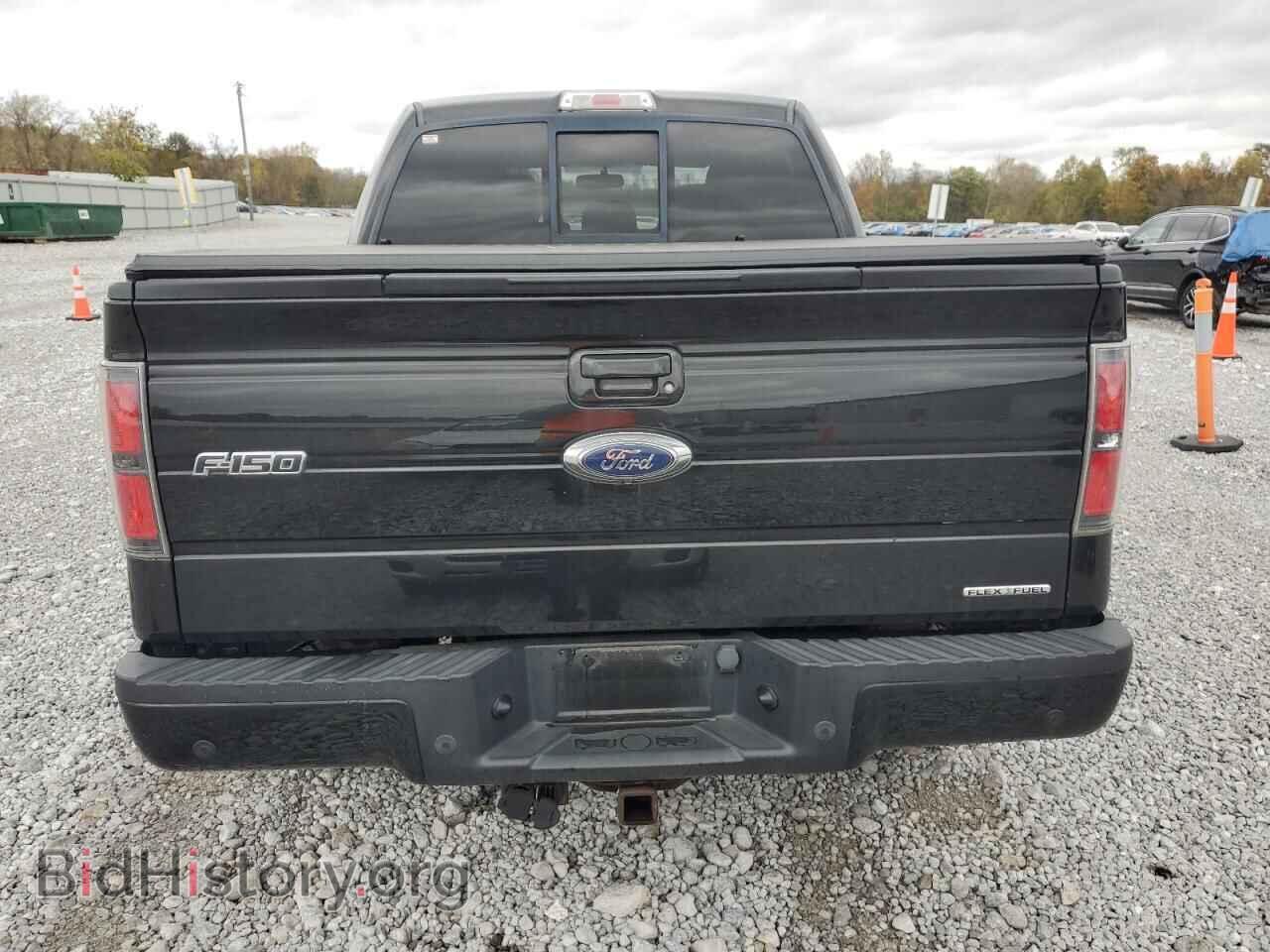 2013 FORD F-150 - VIN: 1FTFW1EF0DFD02029 - Фото 6