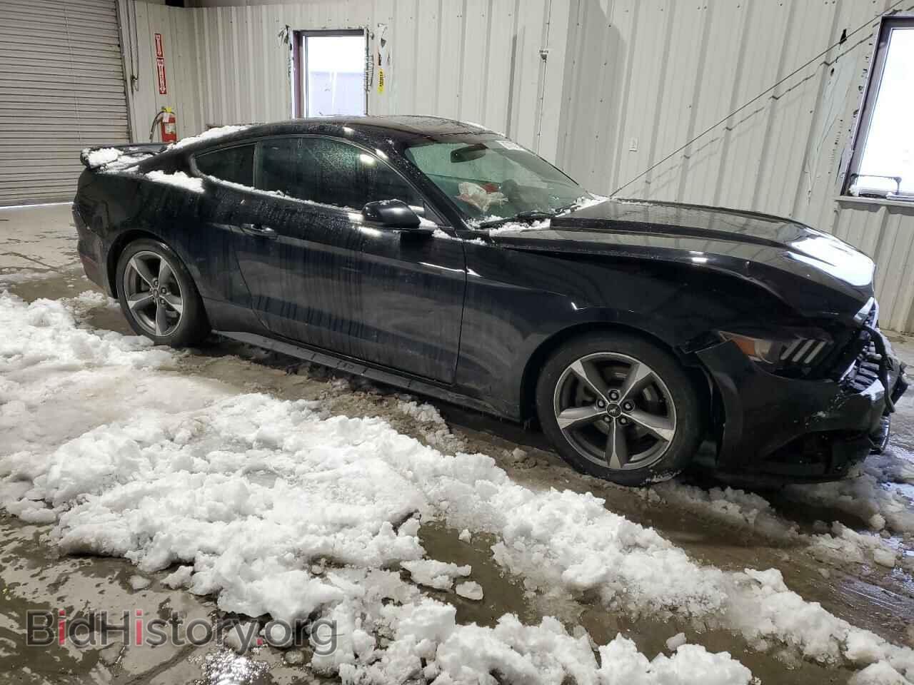 2015 FORD ALL Models - VIN: 1FA6P8TH1F5435536 - Фото 4