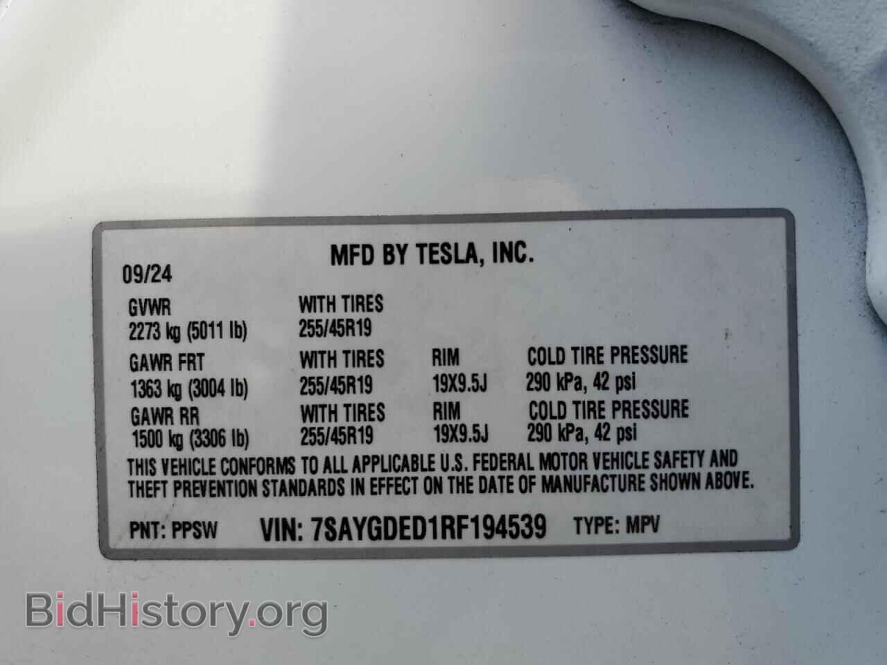 2024 TESLA MODEL Y - VIN: 7SAYGDED1RF194539 - Photo 14