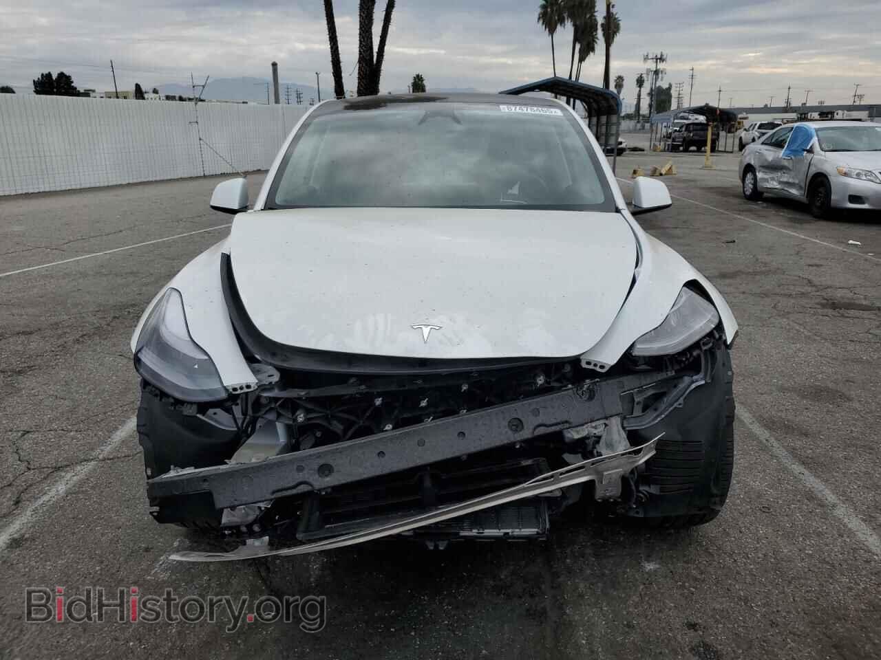 2024 TESLA MODEL Y - VIN: 7SAYGDED1RF194539 - Photo 5