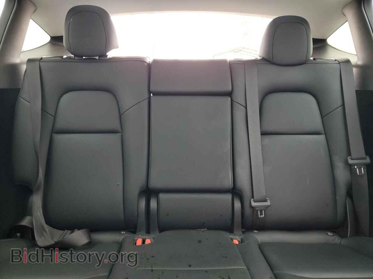 2024 TESLA MODEL Y - VIN: 7SAYGDED1RF194539 - Photo 10