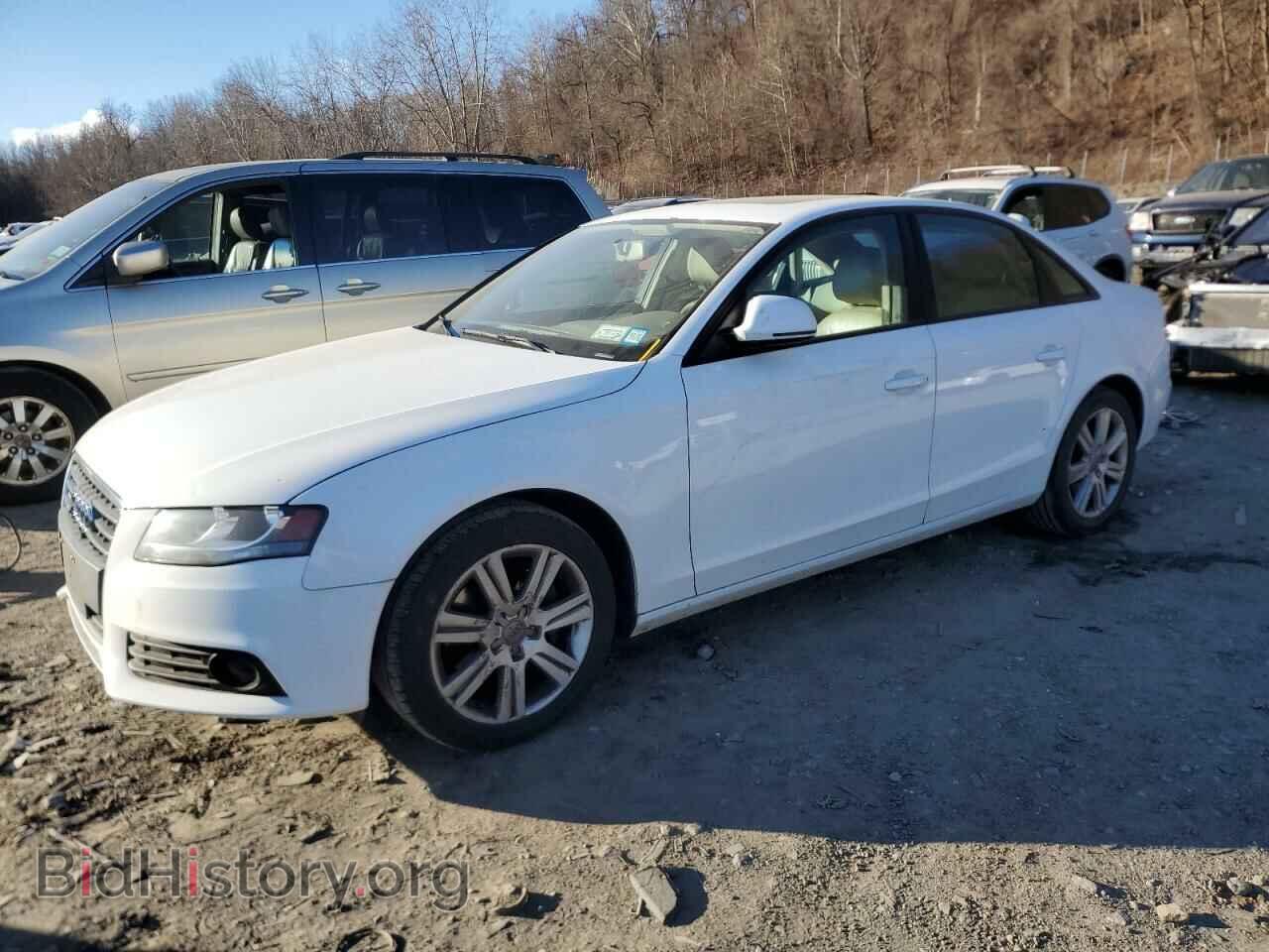 Фотография WAULF78K09N063607 - AUDI A4 2009