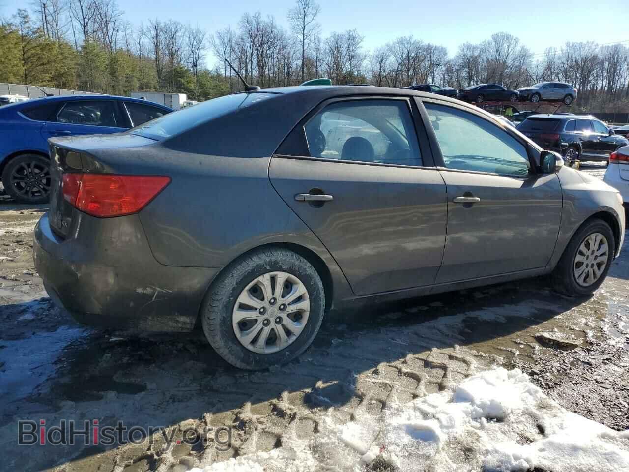 2010 KIA FORTE - VIN: KNAFU4A21A5810020 - Фото 3