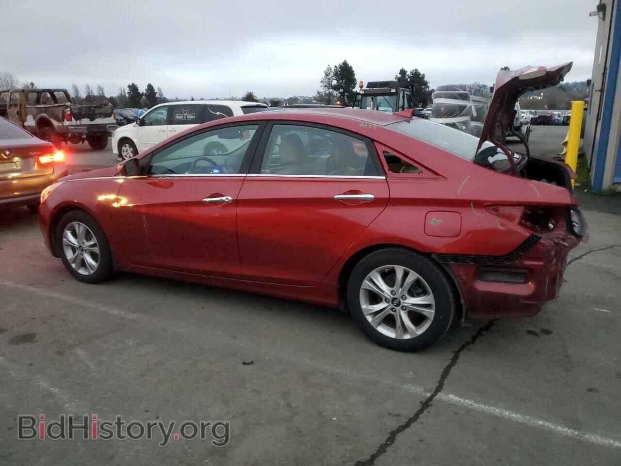 2013 HYUNDAI SONATA - VIN: 5NPEC4AC4DH567446 - Фото 2