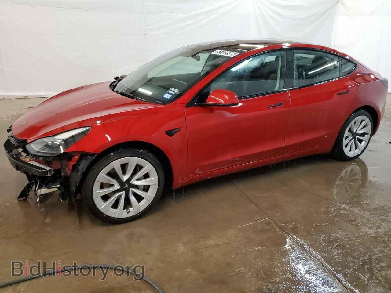 Фотография 5YJ3E1EA4PF438862 - TESLA MODEL 3 2023