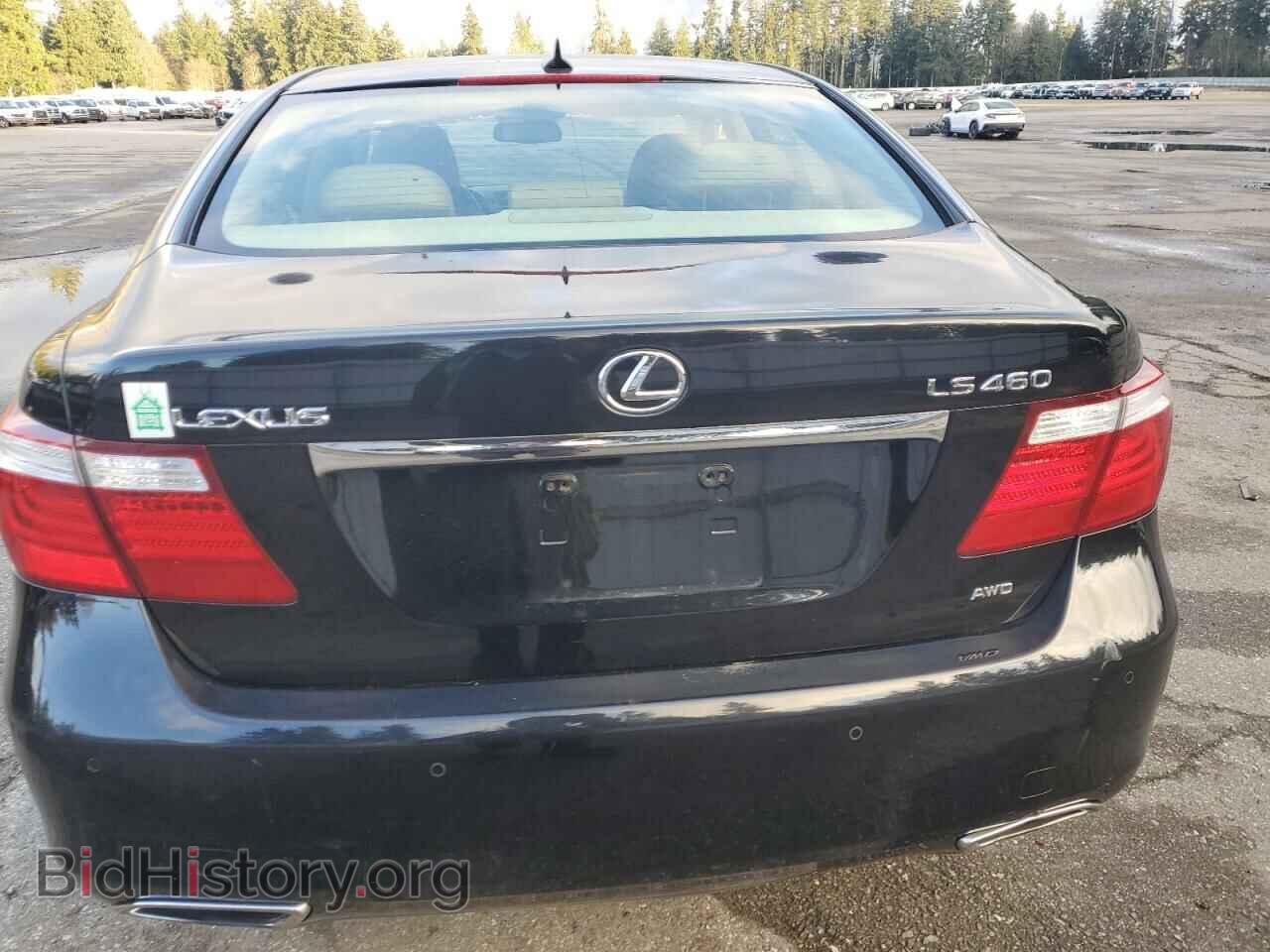 2009 LEXUS LS460 - VIN: JTHCL46F595002414 - Photo 6