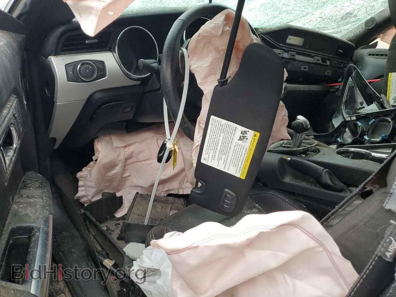 2017 FORD ALL Models - VIN: 1FA6P8TH8H5295293 - Фото 8