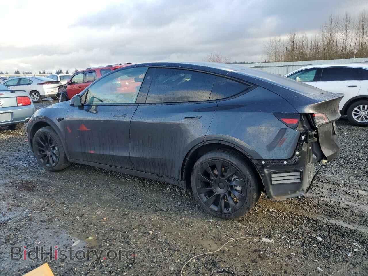 2024 TESLA MODEL Y - VIN: 7SAYGDED9RF003935 - Photo 2