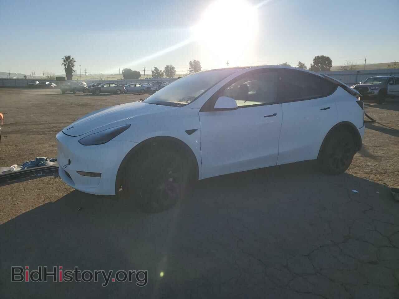 Photo 7SAYGDED1RF154851 - TESLA MODEL Y 2024