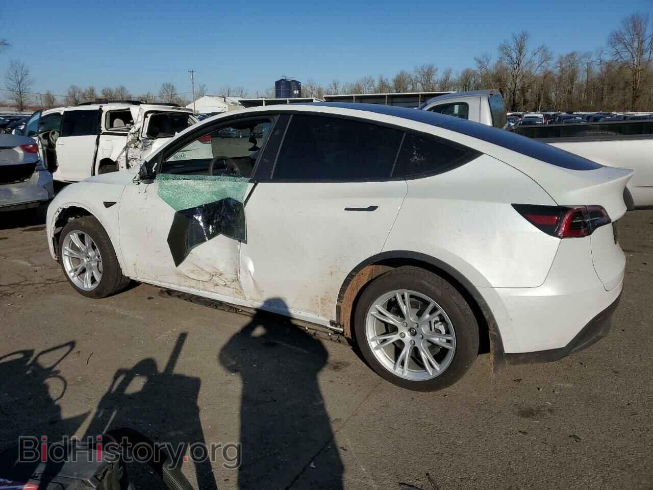 2024 TESLA MODEL Y - VIN: 7SAYGDEE0RF044320 - Photo 2