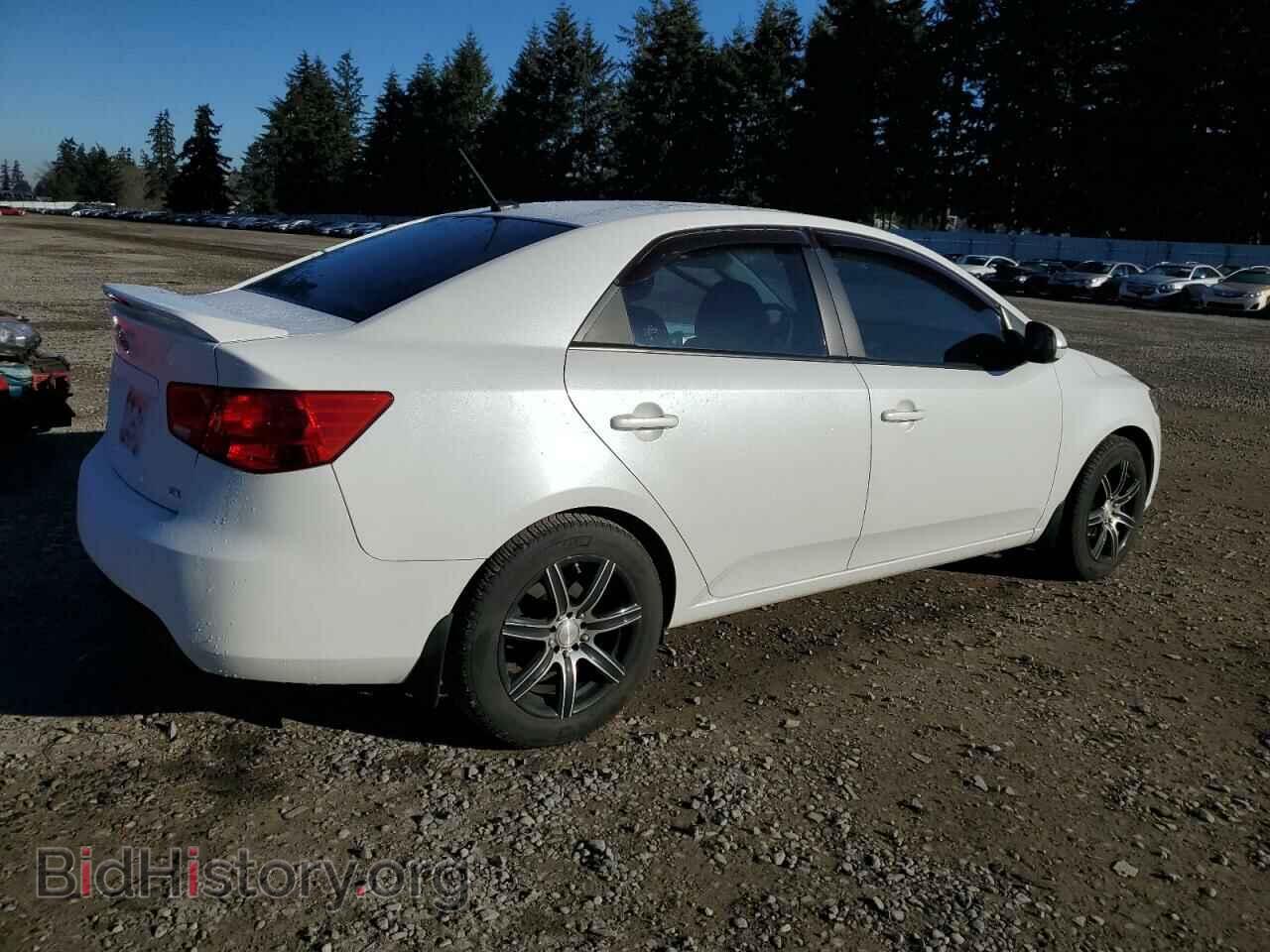 2011 KIA FORTE - VIN: KNAFU4A29B5417707 - Фото 3