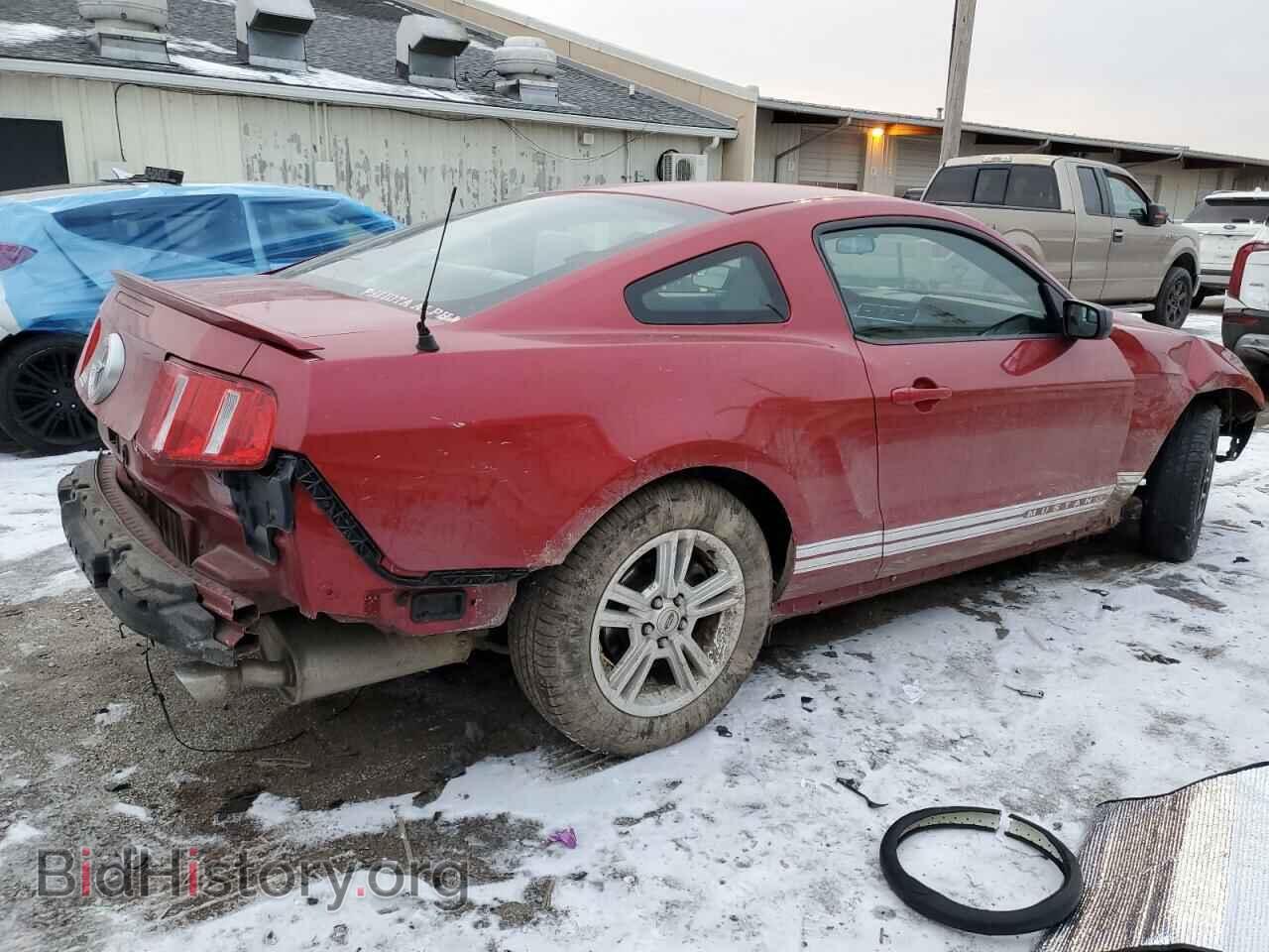 2012 FORD ALL Models - VIN: 1ZVBP8AM2C5233855 - Фото 3