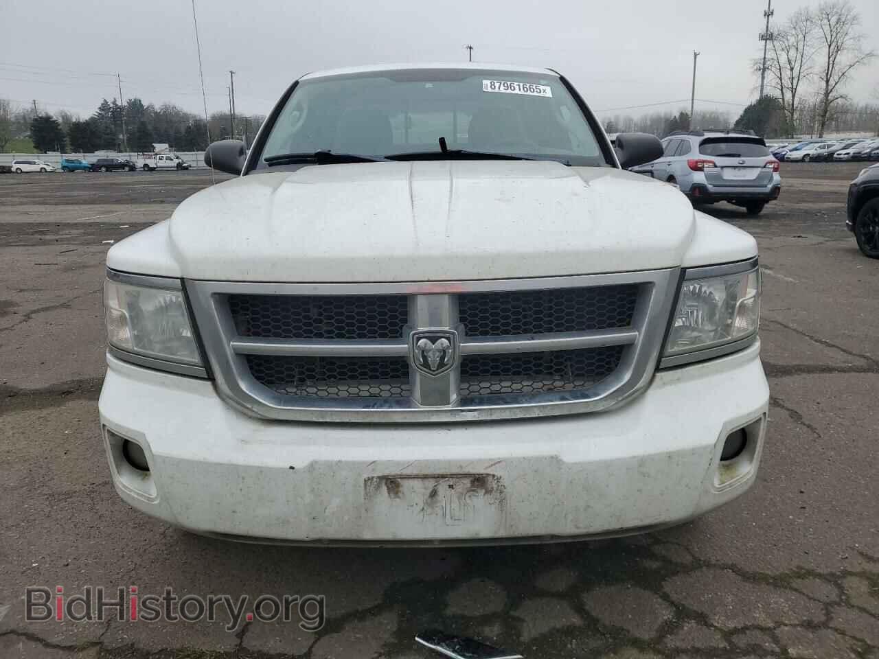 2011 DODGE DAKOTA - VIN: 1D7RE2BK5BS586551 - Фото 5