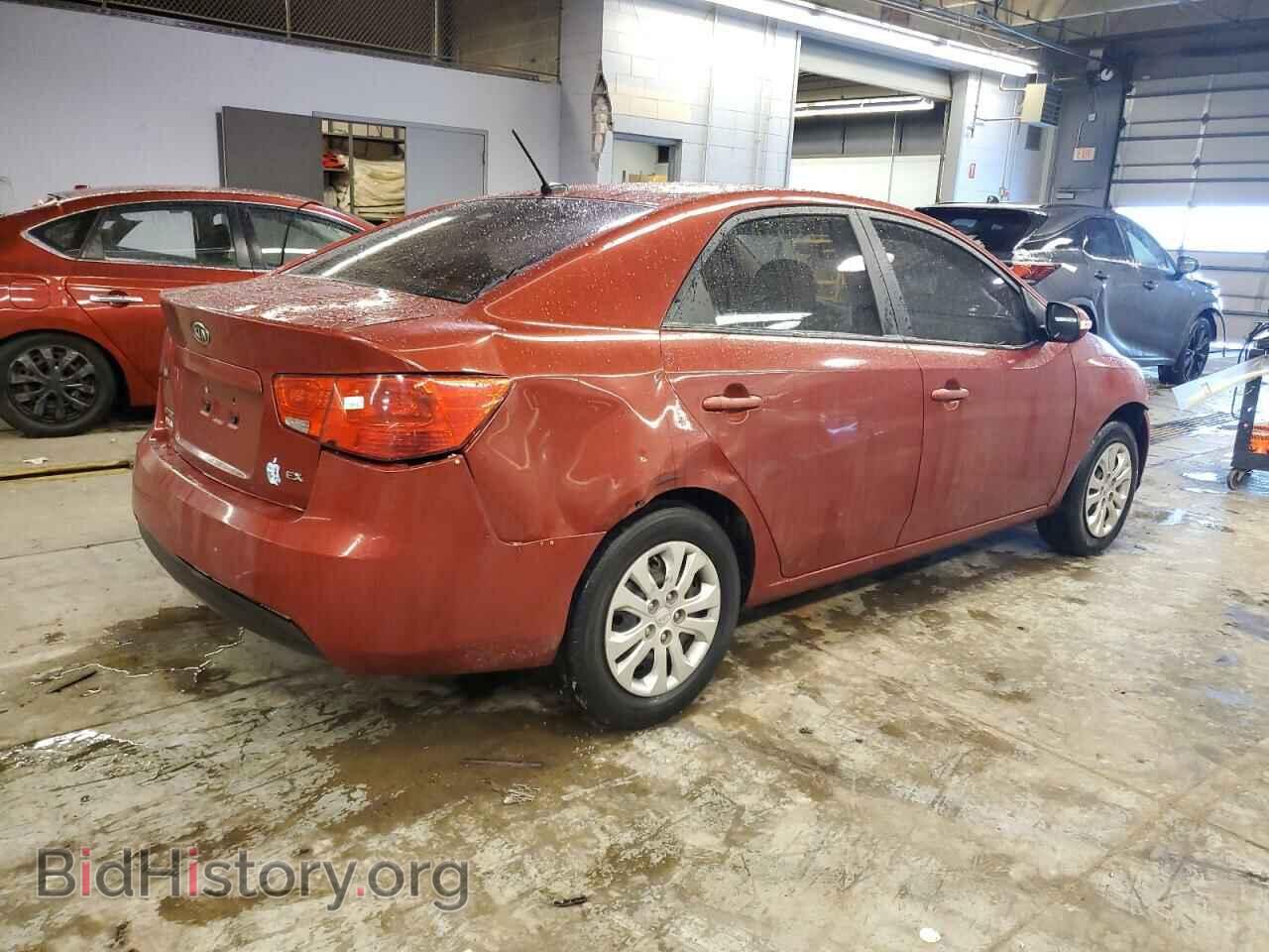 2010 KIA FORTE - VIN: KNAFU4A21A5111907 - Фото 3