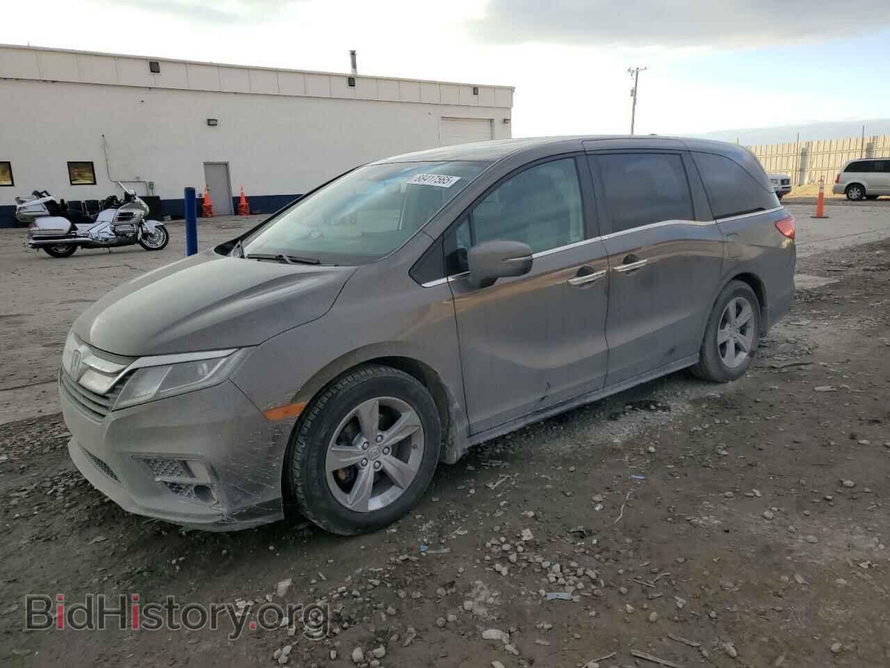 Photo 5FNRL6H77LB027558 - HONDA All Models 2020