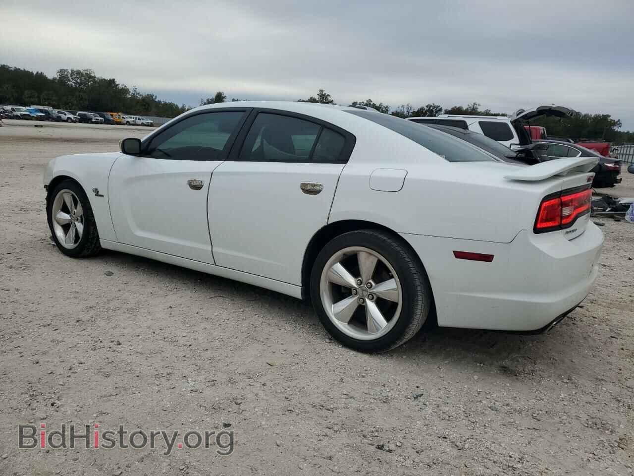 2014 DODGE CHARGER - VIN: 2C3CDXCT1EH123863 - Фото 2