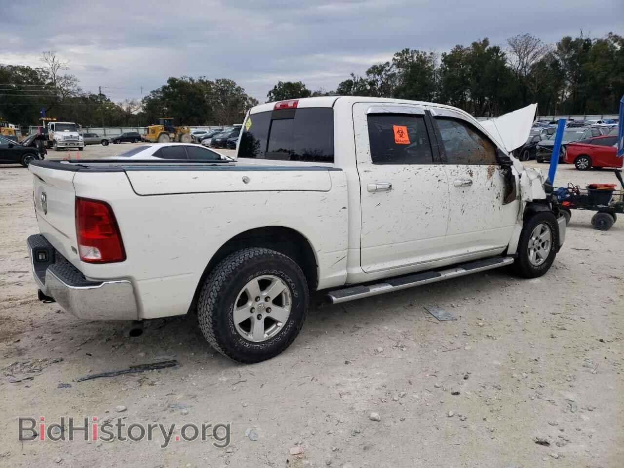 2009 DODGE All Models - VIN: 1D3HB13P99J517713 - Photo 3